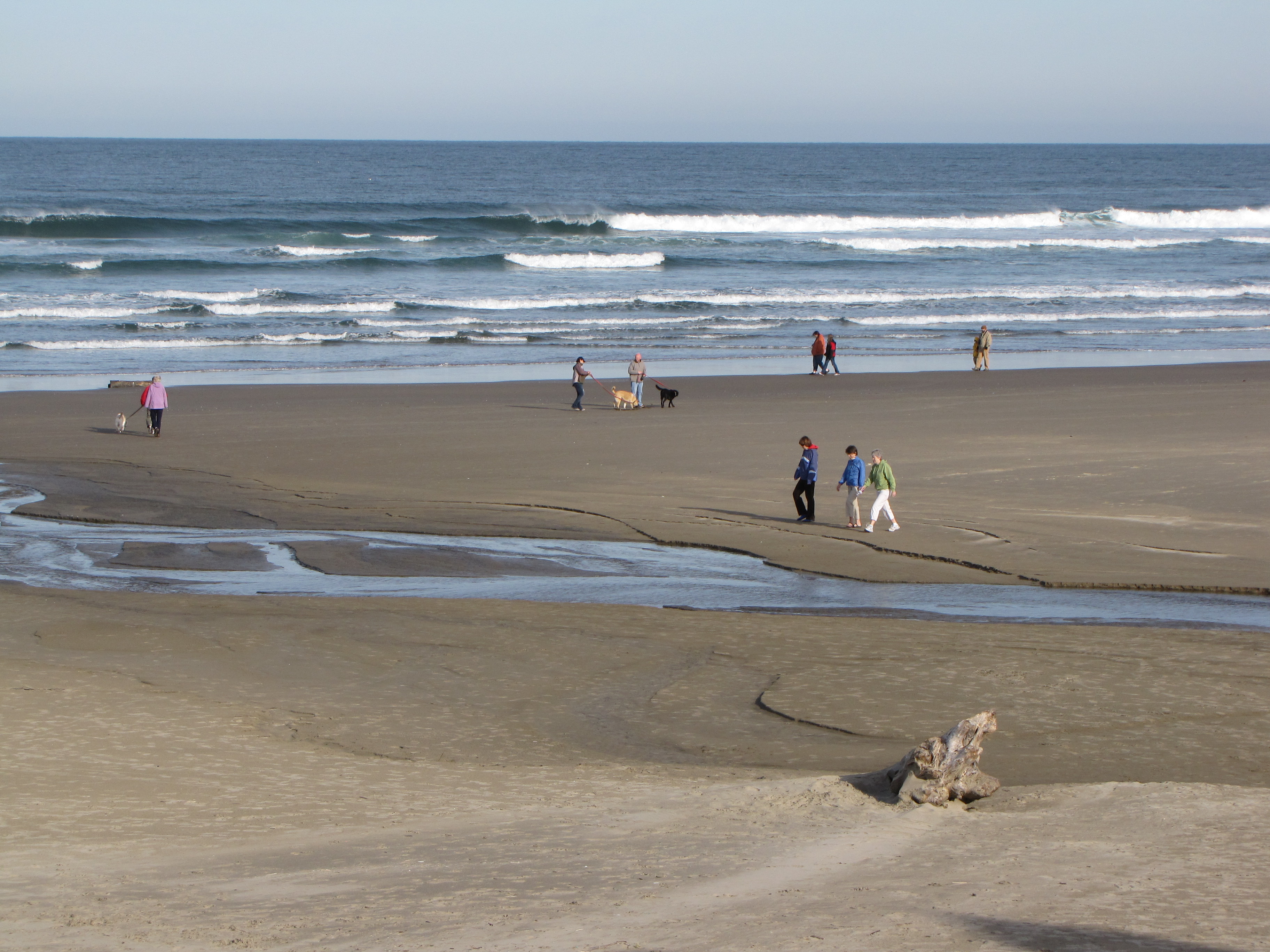 Play it Safe During Spring Break Oregon Coast Visitors Association