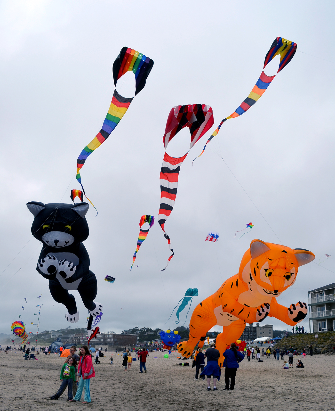 Summer Kite Festival Oregon Coast Visitors Association